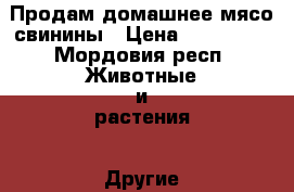 Продам домашнее мясо свинины › Цена ­ 250-280 - Мордовия респ. Животные и растения » Другие животные   